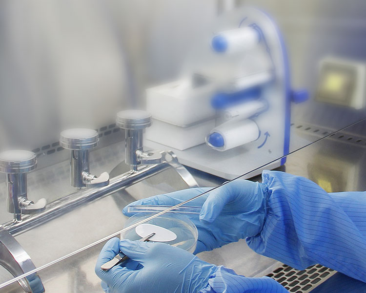 FUN88��������(�й���)�ٷ���վ